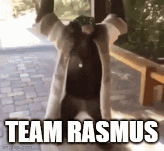 Rasmus Team Rasmus GIF - Rasmus Team Rasmus GIFs