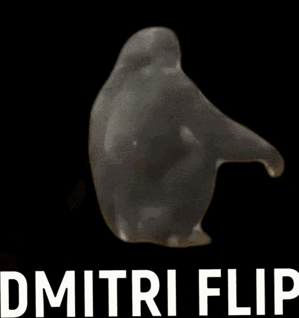 Flip Dmitri Flip GIF - Flip Dmitri Flip Monki Flip GIFs