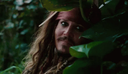 Bush GIF - Johnny Depp Smile Pirates Of The Caribbean GIFs