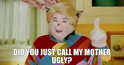 a cartoon cat is giving a thumbs up and says did you just call my mother ugly .