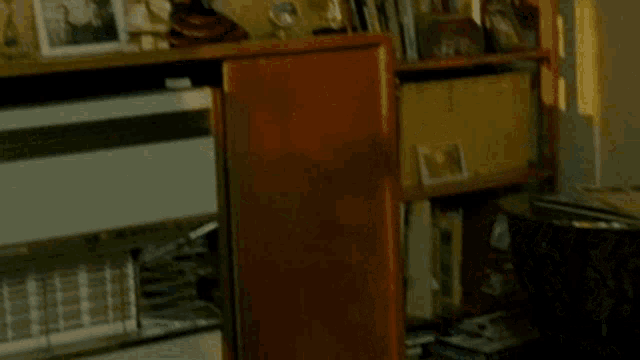 a blurred image of a bookshelf with a picture of a woman on it