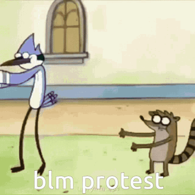 a cartoon of a bird and a raccoon with the words blm protest