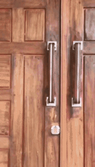 a wooden door with two handles on it