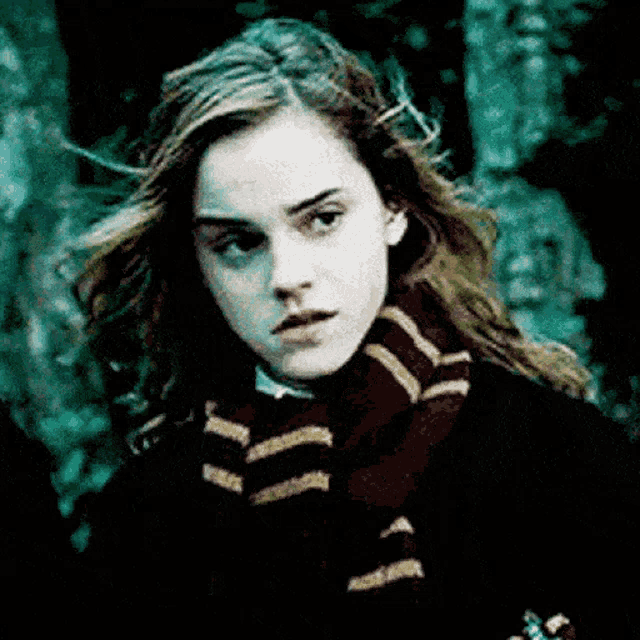 Hermione Granger Hermione GIF - Hermione Granger Hermione Harry Potter GIFs