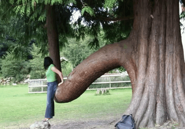 a woman standing next to a tree that has a large trunk that looks like a penis