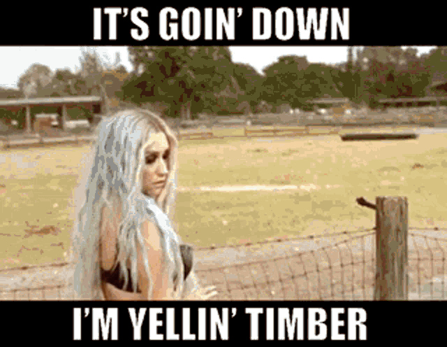 Kesha Timber GIF - Kesha Timber Its Going Down GIFs