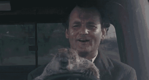 a man is driving a truck with a beaver in his mouth .