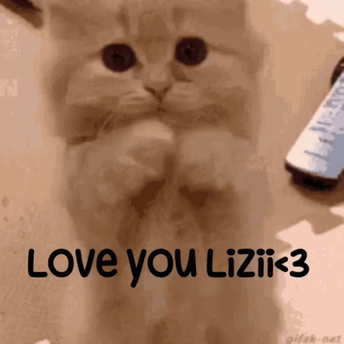 Love You Lizii Lizzi GIF - Love You Lizii Lizzi Love GIFs
