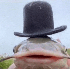 a fish wearing a top hat is looking at the camera .