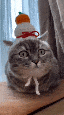 a cat wearing a hat with a pumpkin on top of it is laying on a table .