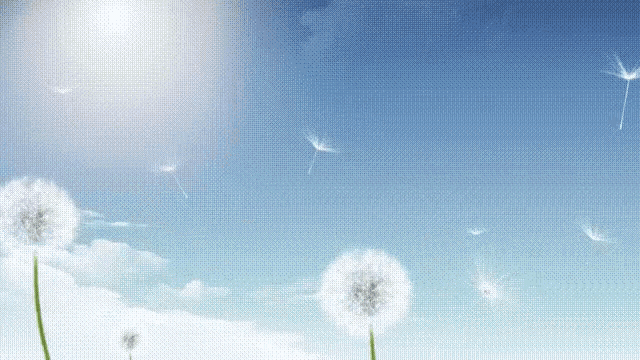Dandelion Nature GIF - Dandelion Nature Good Weather GIFs