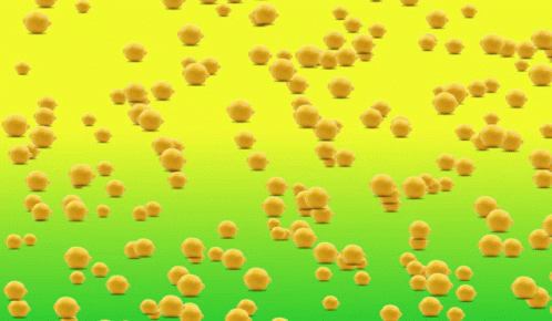 Yum GIF - Yum GIFs