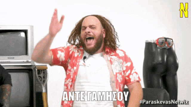 a man in a hawaiian shirt says ante tamhzoy in greek