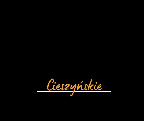 a black background with the words zapiekanki written in white