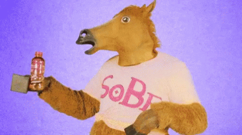 Horse Try It GIF - Horse Try It Sobe GIFs