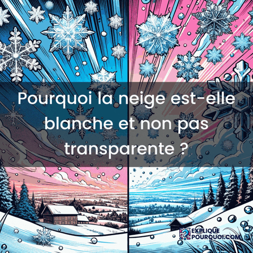 a poster that says pourquoi la neige est-elle blanche et non pas transparente on it