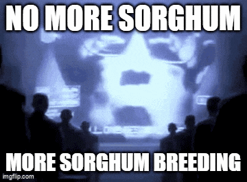 a group of people standing in front of a screen with the words no more sorghum more sorghum breeding