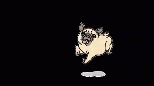 Pug GIF - Pug GIFs