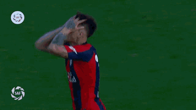 a soccer player wearing a red and blue jersey with the number 15 on it