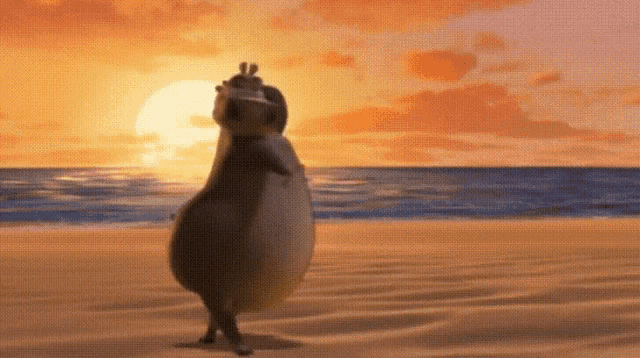 a penguin is standing on a beach at sunset