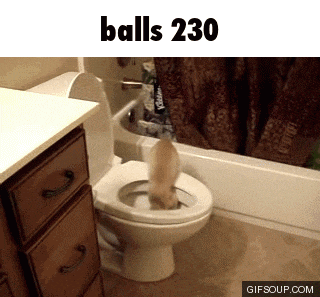 a picture of a toilet with the words balls 230 on it