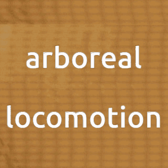 Arboreal Locomotion GIF - Arboreal Locomotion GIFs