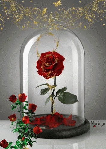 Rose Cloche GIF - Rose Cloche Shimmering GIFs