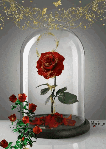 a glass dome with a red rose inside of it and the words magie de luxe below it