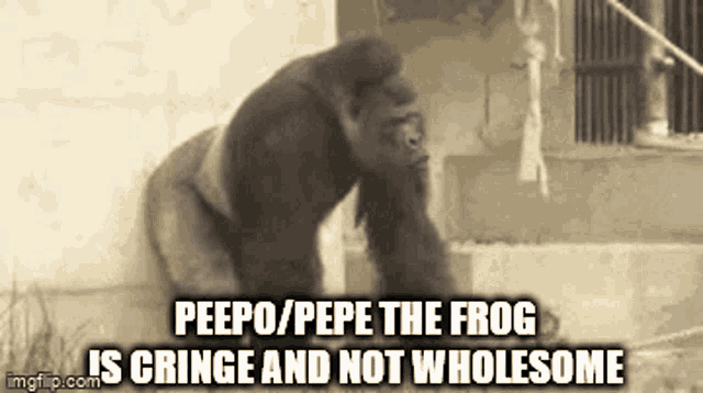Peepo Pepe GIF - Peepo Pepe Pepe The Frog GIFs