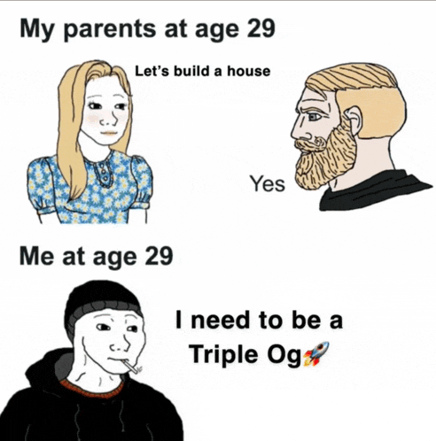 a meme that says my parents at age 29 let 's build a house and me at age 29