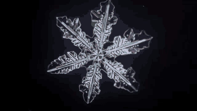 a snowflake with the word inter in green