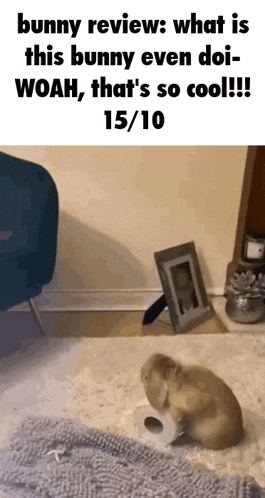 a bunny is sitting on the floor with a roll of toilet paper in its paws