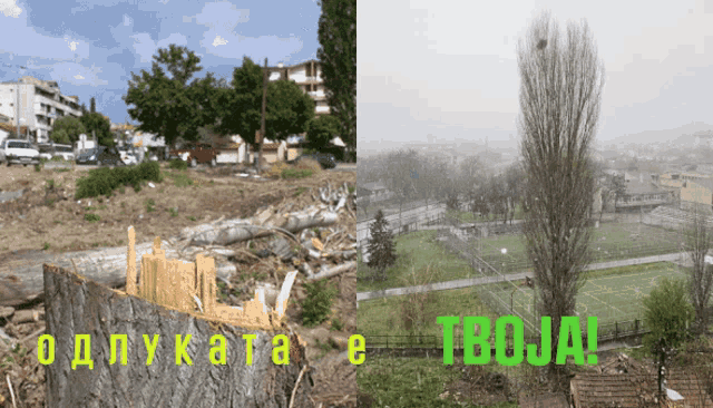 a picture of a tree stump and a picture of a field with the words troja