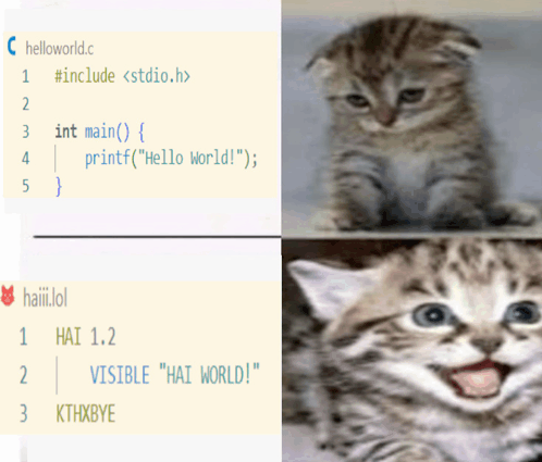 a picture of a kitten next to a code that says helloworld