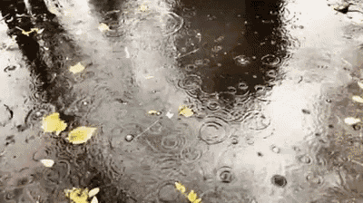 a puddle of water with leaves on the ground and rain drops falling on it .