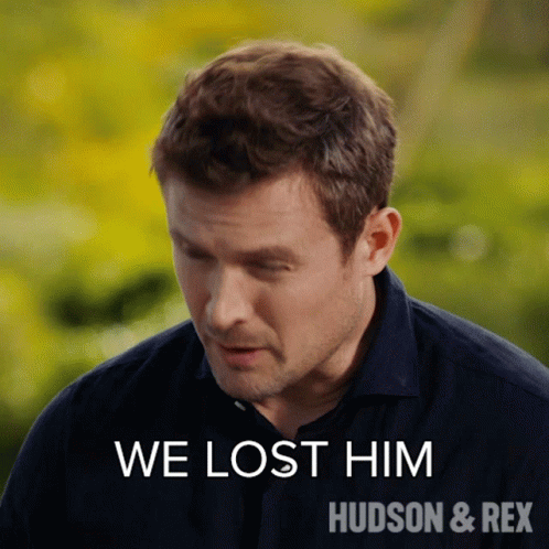We Lost Him Charlie Hudson GIF - We Lost Him Charlie Hudson Hudson And Rex GIFs