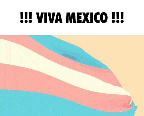 a picture of a transgender flag with the words viva mexico below it