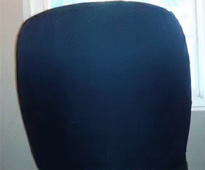 Come Hither GIF - Pug Chair Expecting You GIFs