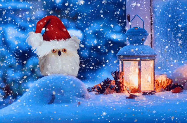 an owl wearing a santa hat is standing in the snow