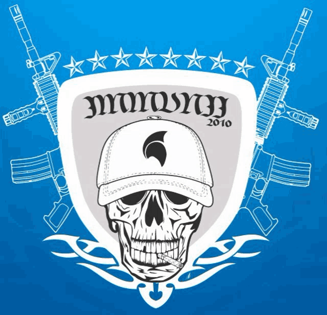 a skull wearing a hat with the year 2010 on it is surrounded by guns