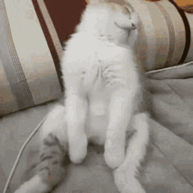 Exhausted Tired GIF - Exhausted Tired Wake GIFs