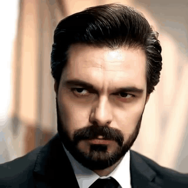 a man with a beard and mustache wearing a suit and tie .