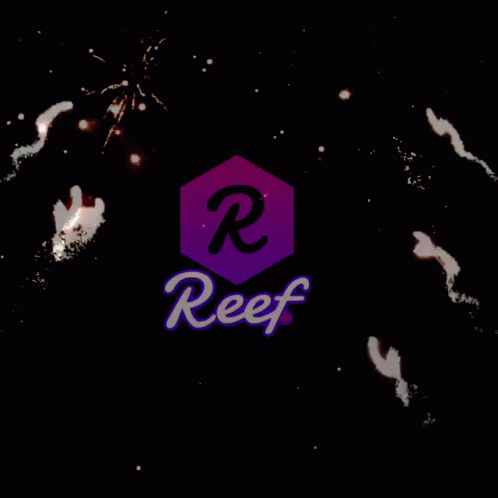 Reef Reef Defi GIF - Reef Reef Defi Beefy Reefy GIFs