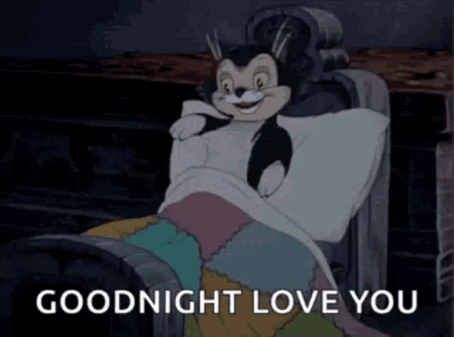 a cartoon cat is laying in a bed with the words goodnight love you written below it .