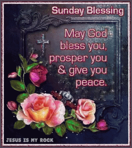 Sunday Blessing May God Bless You GIF - Sunday Blessing May God Bless You Rose GIFs