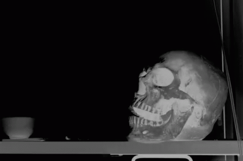 Trippy Skull GIF - Trippy Skull Halloween GIFs