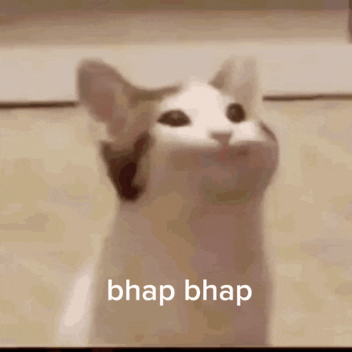 a cat with its mouth open and the word bhap written below it