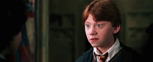 Ron Weasley Harry Potter GIF - Ron Weasley Harry Potter Chamber Of Secrets GIFs