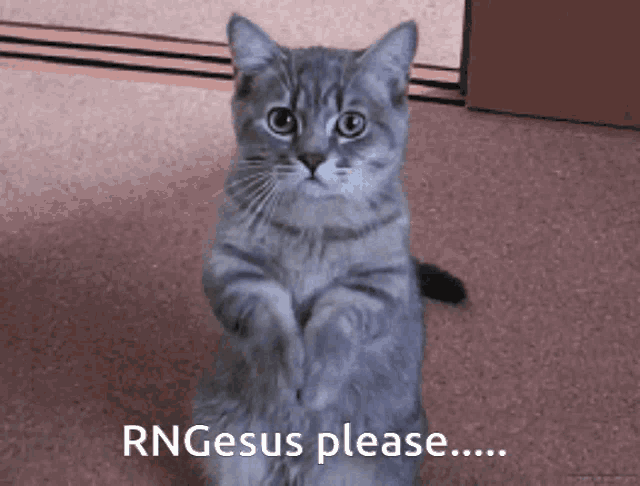 a cat sitting on its hind legs with the words rngesus please