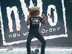 a man wearing a cat mask stands in front of a sign that says new world order
